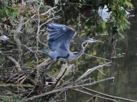 DSC_2135-2.jpg