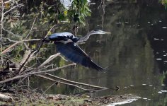 DSC_2136-2.jpg