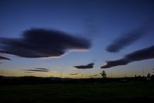 710_4568 (1000x667).jpg