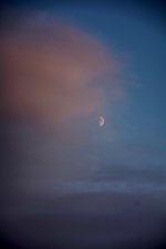 710_4573 (667x1000).jpg