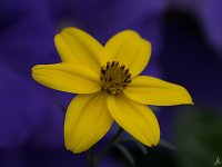 035-Edit.jpg