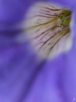 026-2-Edit.jpg