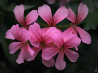 080-Edit.jpg