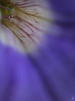 026-2-Edit-2.jpg