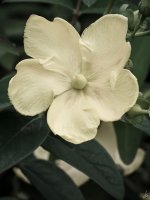 044-Edit-2.jpg