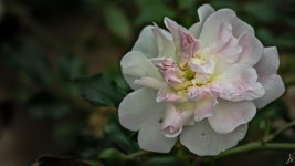 040-Edit.jpg