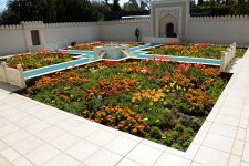 DSC_4831.jpg