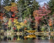 DSC_0160_tonemapped.jpg