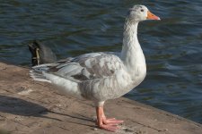 DSC_8697.jpg