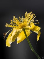 088-Edit.jpg