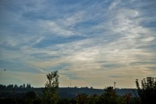 _6008921 (1000x668).jpg