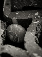 238-Edit.jpg
