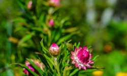 DSC_4360.jpg