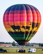 Balloon1.jpg