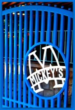 Fence to Mickey's Toon Town.jpg