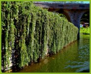 Wall in StoryBook Land.jpg