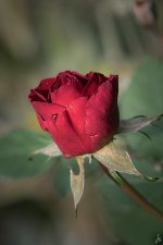 093-Edit.jpg