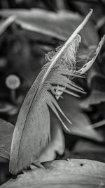 253-Edit.jpg
