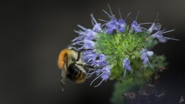 074-Edit.jpg