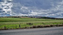 _6009010 (1000x563).jpg