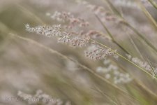 NEW_9268_webshot.jpg