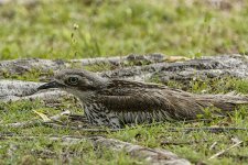 NEW_9276_webshot.jpg