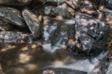 DSC_2307-Edit.jpg