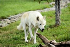 DSC_0047.jpg