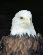 DSC_0066.jpg