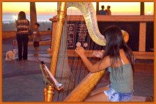 Sunset Street Scene with Harp.jpg