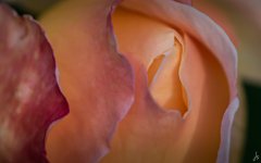 176-Edit.jpg