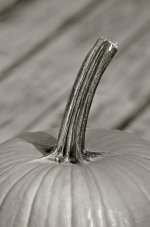 DSC_9671.jpg