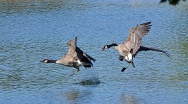 DSC_9739.jpg