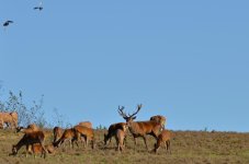 DSC_9790.jpg
