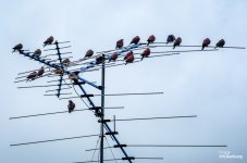 rainy-day-banbung-5.jpg
