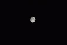 DSC_3238.jpg