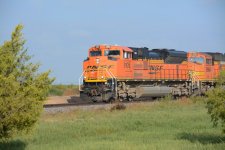 DSC_7514.JPG