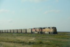 DSC_7500.JPG