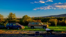 _6009040 (1000x563).jpg