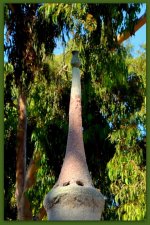 Detail of Watts Towers.jpg