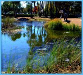 La Brea Tar Pits.jpg