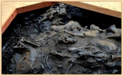 Conglomeration of Ancient Bones still in a Tar Pit.jpg