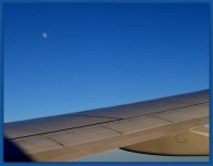 The Moon Setting on My Vacation.jpg