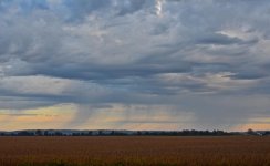 DSC_9840.jpg
