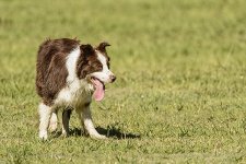 NEW_9428_webshot.jpg