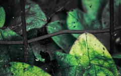 036-Edit-Edit.jpg