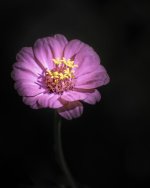 DSC_0854-Edit-Edit-Edit.jpg