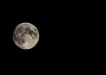 DSC_2625.jpg