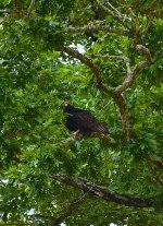 DSC_9918.jpg