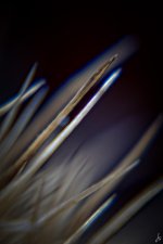 014-Edit-Edit.jpg